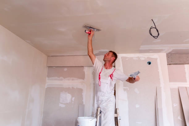 Best Residential Painting  in Lebanon Junction, KY